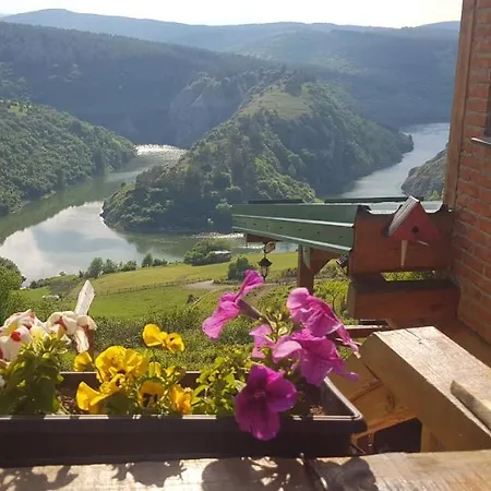 Kod Elka * シェニツァ