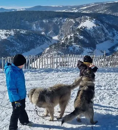 リゾート Kod Elka